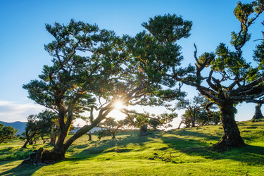 Similar image 21897102