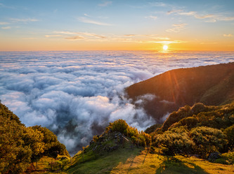 Similar image 21897104