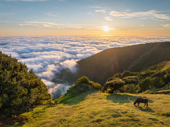 Similar image 21897106