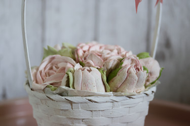 Similar image 21898251