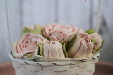 Similar image 21898260