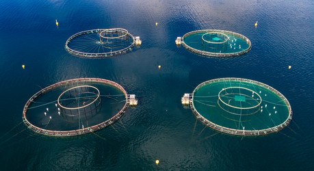 Similar image 21910508