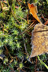 Similar image 21895571