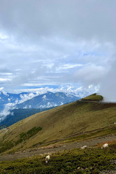 Similar image 21895573