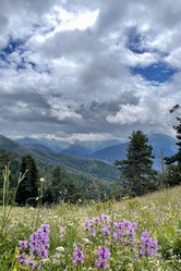 Similar image 21895574