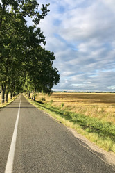 Similar image 21895756