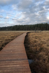 Similar image 21895757