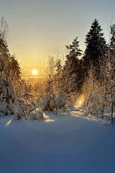 Similar image 21895758