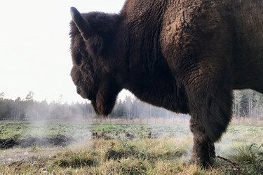 Similar image 21895759