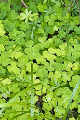 Similar image 21895760