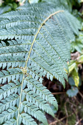 Similar image 21895761