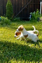 Similar image 21895763