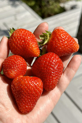 Similar image 21895771