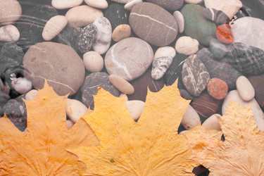 Similar image 21900423