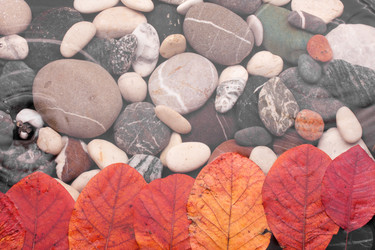 Similar image 21900424