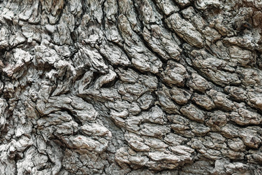 Similar image 21900444