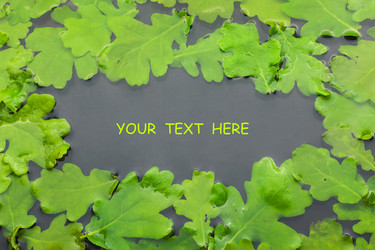 Similar image 21902624