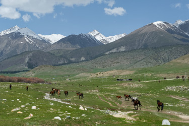 Similar image 21898857