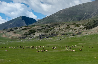 Similar image 21898859