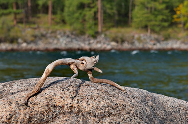 Similar image 21897616