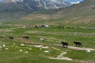 Similar image 21898862