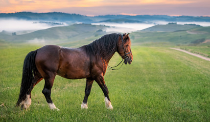 Similar image 21897910