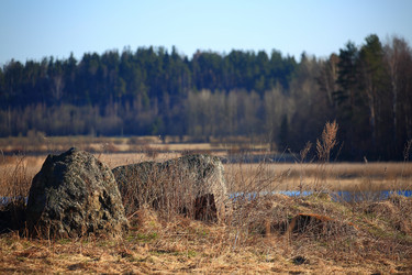 Similar image 21895004