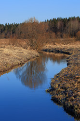 Similar image 21895006