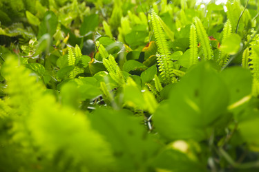 Similar image 21899718