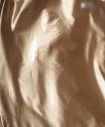 Similar image 21899731