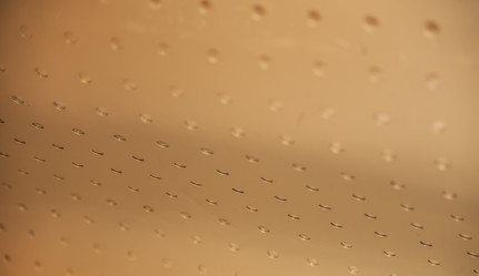 Similar image 21899734