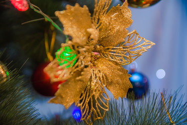 Similar image 21899737