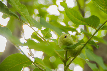 Similar image 21899740