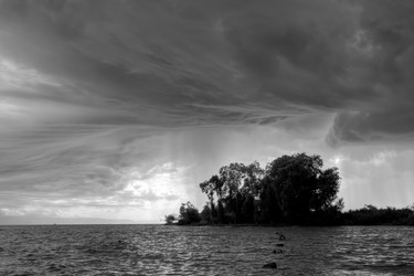 Similar image 21899750