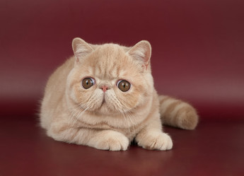 Similar image 21895010