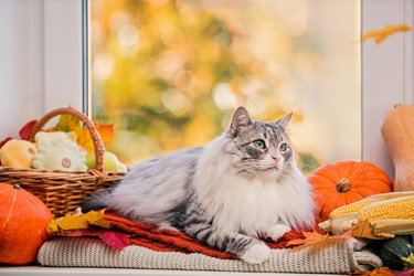 Similar image 21897912