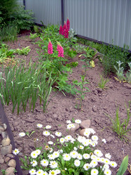 Similar image 21895780