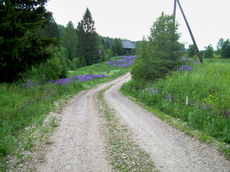 Similar image 21895782