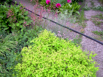 Similar image 21895783