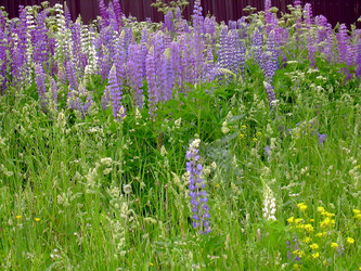 Similar image 21895784