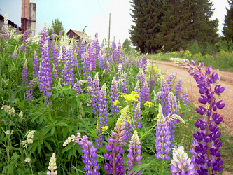 Similar image 21895786