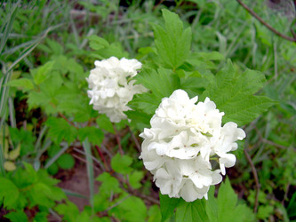 Similar image 21895787