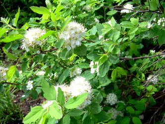 Similar image 21895793