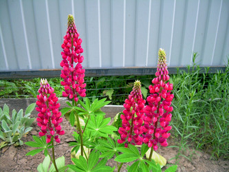 Similar image 21895795