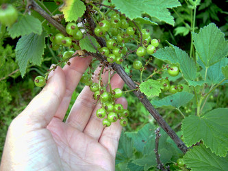 Similar image 21895796