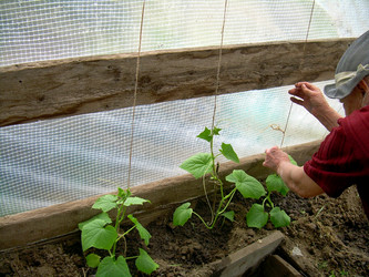 Similar image 21895798