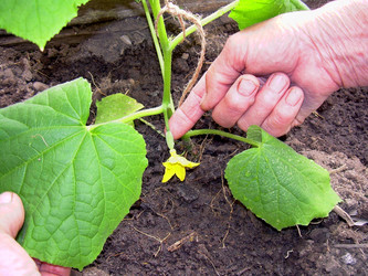 Similar image 21895799