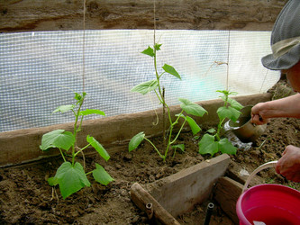 Similar image 21895800