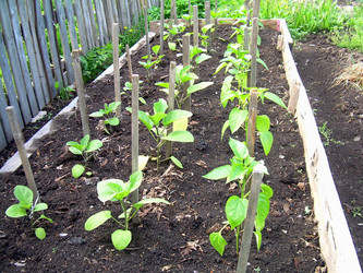 Similar image 21895801