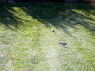 Similar image 21895802